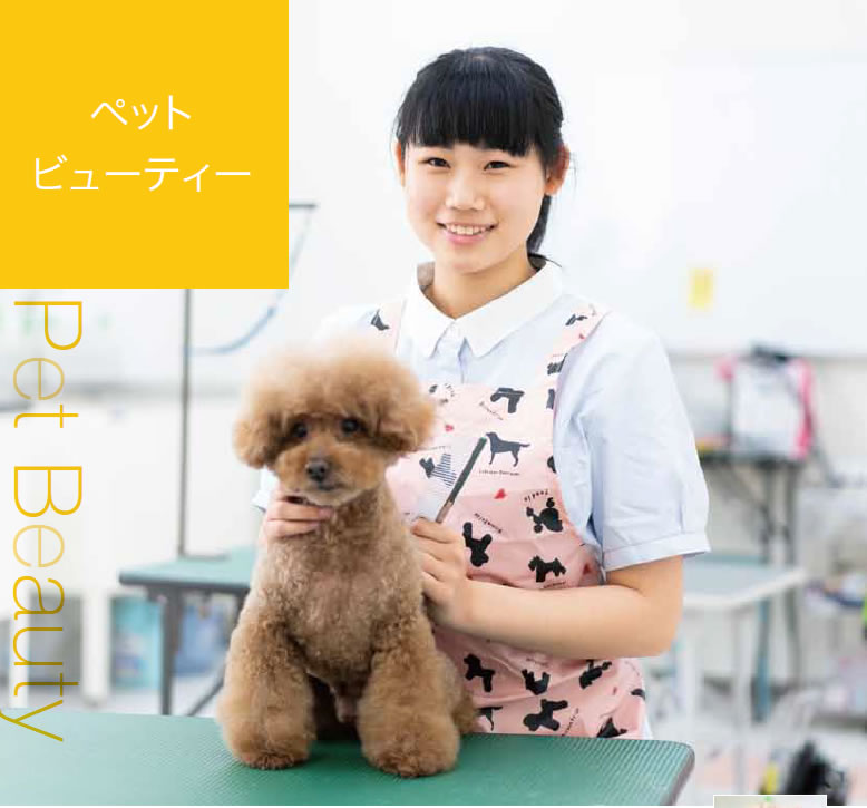 ペットファッション