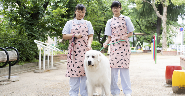 中学生の皆さんへ